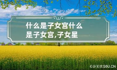 什么是子女宫 什么是子女宫,子女星