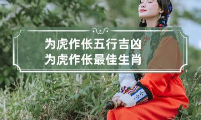 为虎作伥五行吉凶 为虎作伥最佳生肖