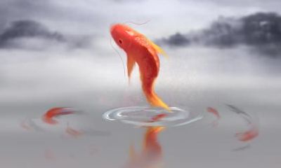 马姓孩子2018年秋分出生起名推荐!