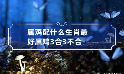 属鸡配什么生肖最好 属鸡3合3不合