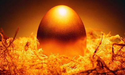 易祈文化:2019年经济大运势及12生肖财运分析