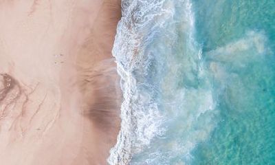 在2023年添丁的生肖 生肖狗一定能成功