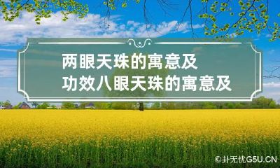 两眼天珠的寓意及功效 八眼天珠的寓意及功效