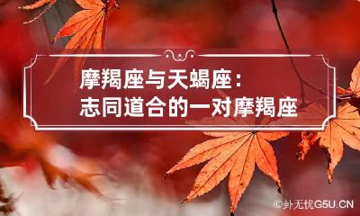 摩羯座与天蝎座:志同道合的一对 摩羯座和天蝎座的配对