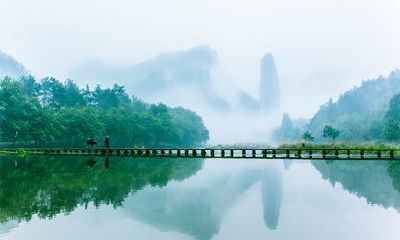 生肖虎2023年运势 事业上不是很给力