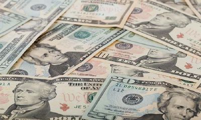 这5大生肖2019年财源滚滚,步步高升!