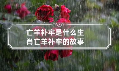 亡羊补牢是什么生肖 亡羊补牢的故事