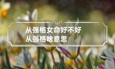 从强格女命好不好 从强格啥意思