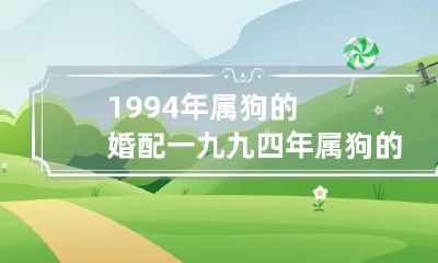 1994年属狗的婚配 一九九四年属狗的姻缘