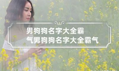 男狗狗名字大全霸气 男狗狗名字大全霸气拉布拉多