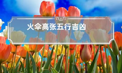 火伞高张五行吉凶