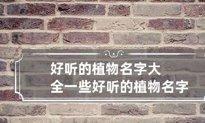 好听的植物名字大全 一些好听的植物名字