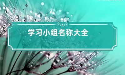 学习小组名称大全