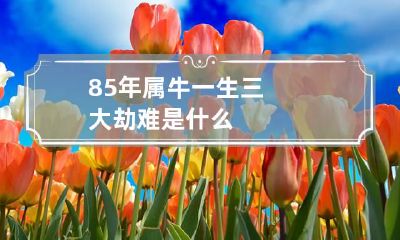 85年属牛一生三大劫难是什么