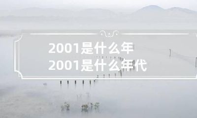 2001是什么年 2001是什么年代