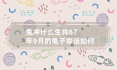 兔冲什么生肖 87年9月的兔子命运如何