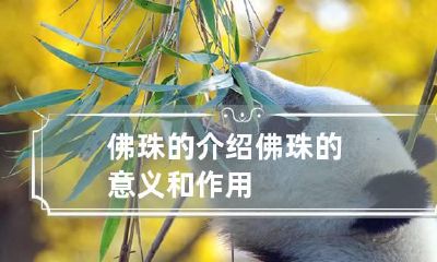 佛珠的介绍 佛珠的意义和作用