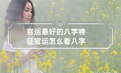 官运最好的八字特征 官运怎么看八字