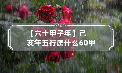 【六十甲子年】己亥年五行属什么 60甲子年五行