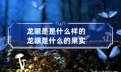 龙眼是是什么样的 龙眼是什么的果实