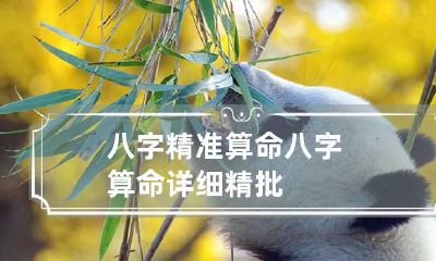 八字精准算命 八字算命详细精批