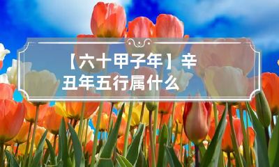 【六十甲子年】辛丑年五行属什么