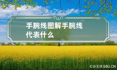 手腕线图解 手腕线代表什么