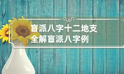 盲派八字十二地支全解 盲派八字例