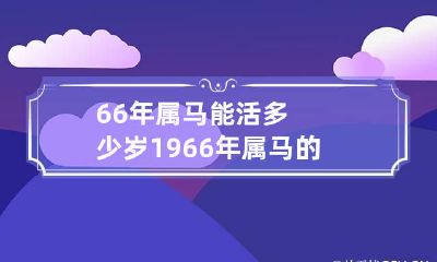 66年属马能活多少岁 1966年属马的能活多久