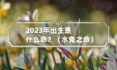 2023年出生是什么命?(水兔之命) 2023年是属兔是金命还是水命