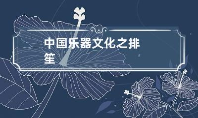 中国乐器文化之排笙