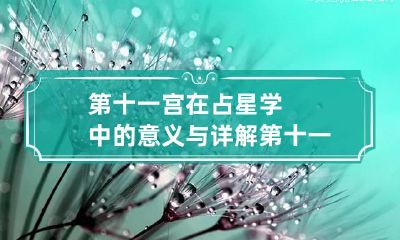 第十一宫在占星学中的意义与详解 第十一宫的含义