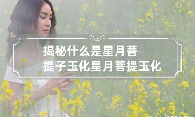 揭秘什么是星月菩提子玉化 星月菩提玉化值钱吗