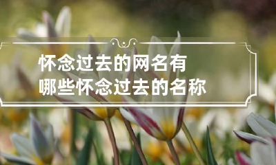 怀念过去的网名有哪些 怀念过去的名称