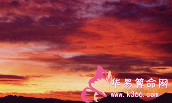 属狗的人心血来潮会做什么