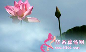 属狗的人在西游记中的代表人物有谁