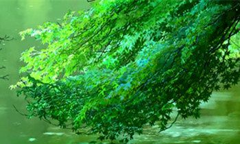 属狗的女生拿什么包聚财