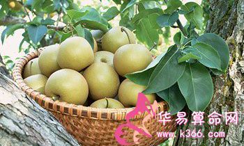 属狗的人最喜欢念叨的事情是什么