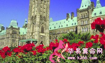 属狗的人让人最反感的是什么