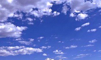 属狗的人倾家荡产想做的事是什么