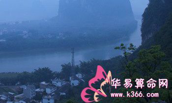 属狗的人如何与同事相处