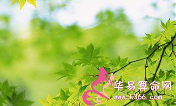 属狗的人有哪些不为人知的秘密?