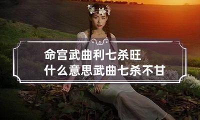 命宫武曲利七杀旺什么意思 武曲七杀不甘平庸