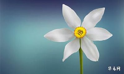 2023年新历5月10日出生的女孩满分吉祥起名好名字