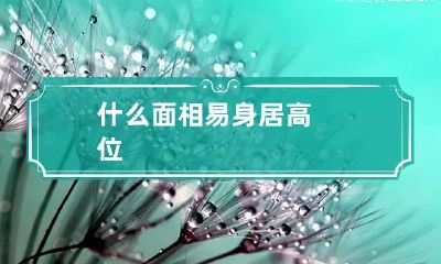什么面相易身居高位