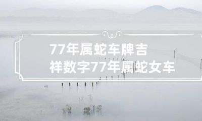 77年属蛇车牌吉祥数字 77年属蛇女车牌号字母和数字怎么设计