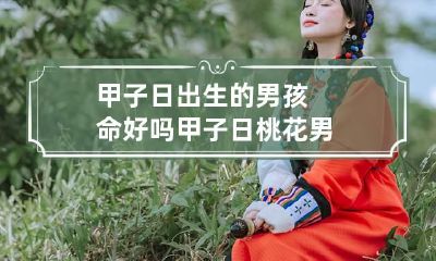 甲子日出生的男孩命好吗 甲子日桃花男
