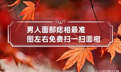 男人面部痣相最准图左右 免费扫一扫面相算命