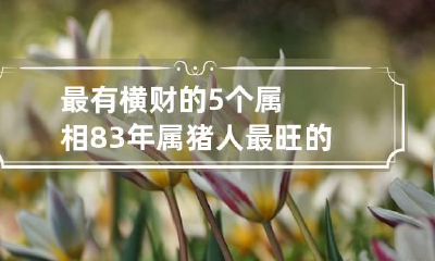 最有横财的5个属相 83年属猪人最旺的年龄