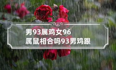 男93属鸡女96属鼠相合吗 93男鸡跟96女鼠在一起合适吗